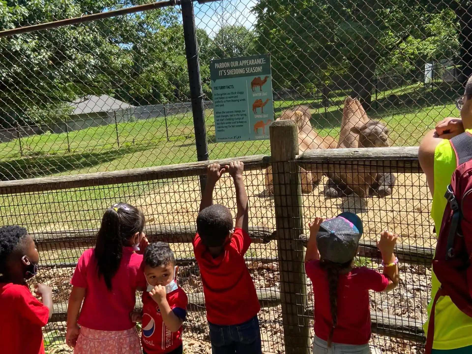 a group of kids standing by a fence