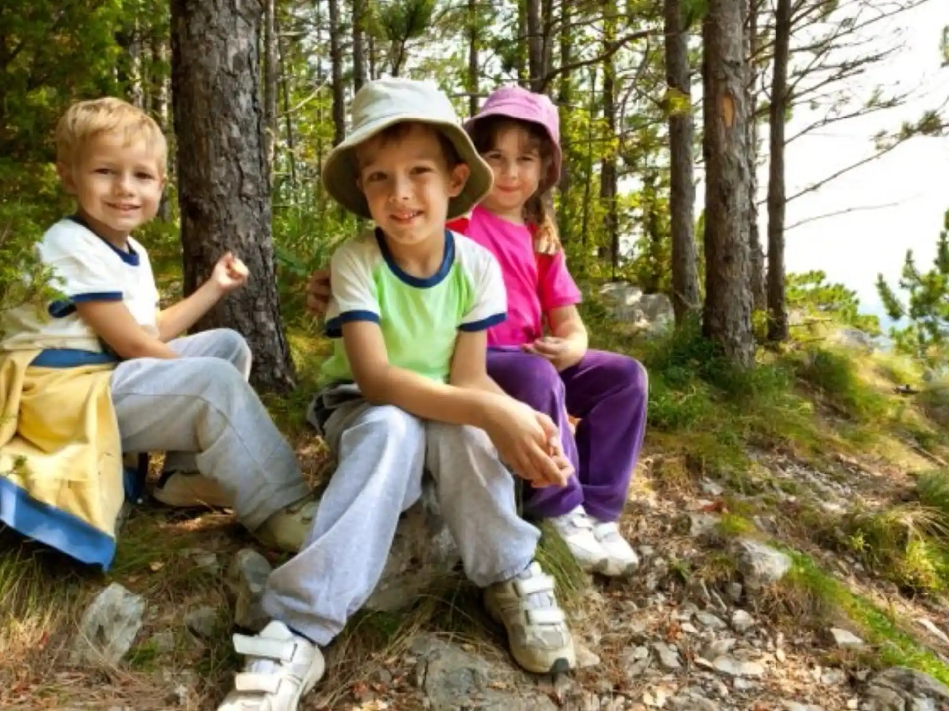 a group of people sitting in a tree