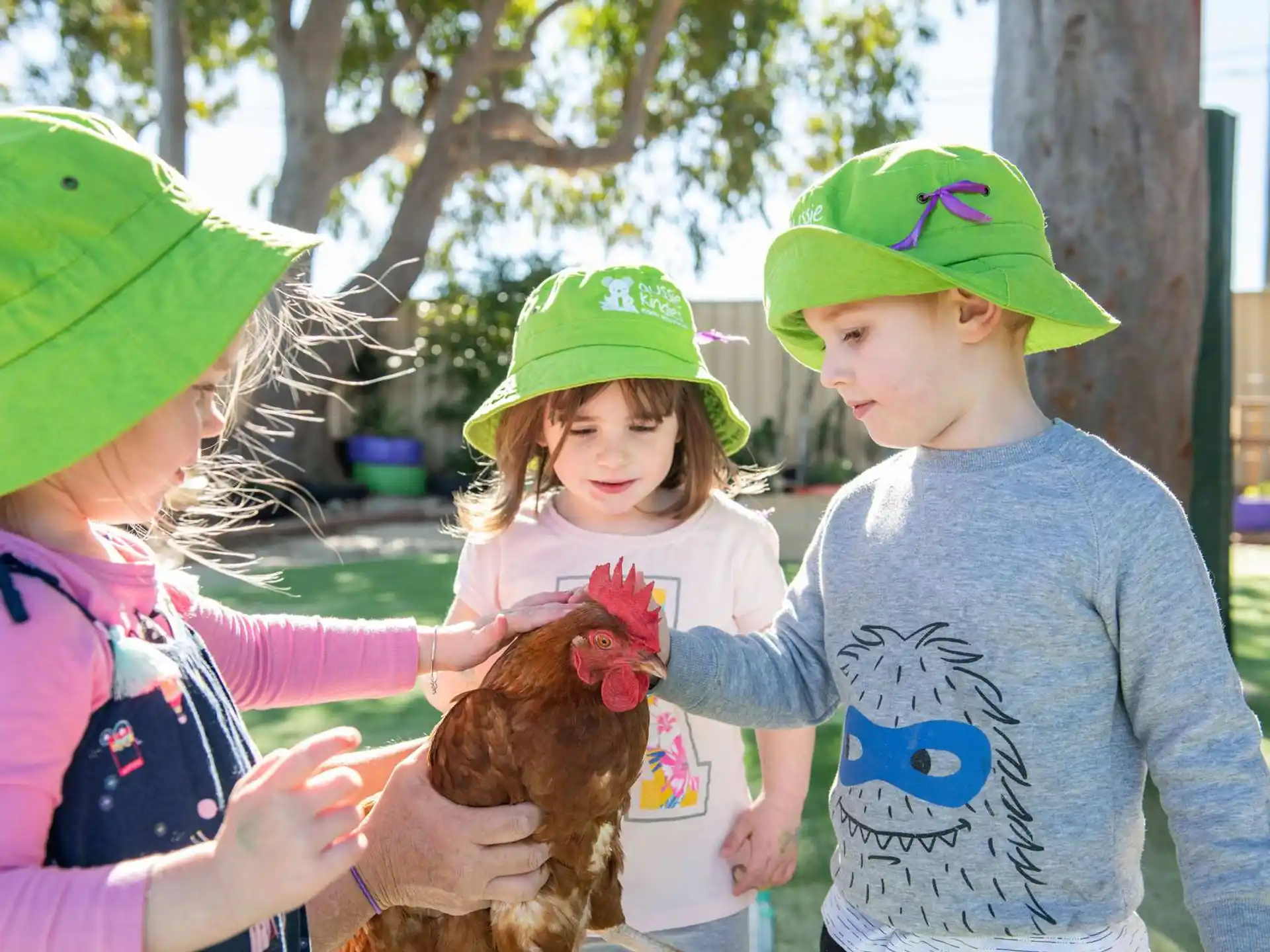 a group of children holding a chicken