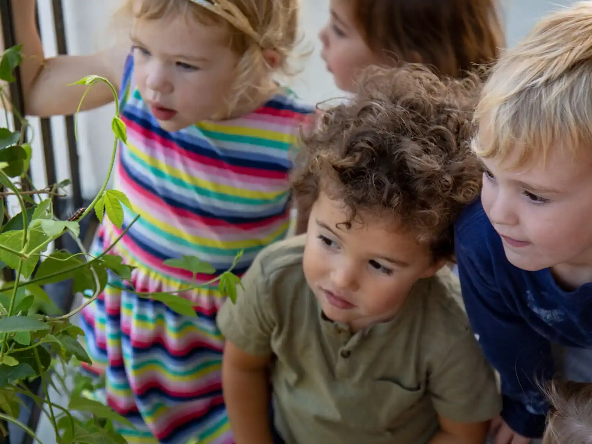 a group of children looking at plants