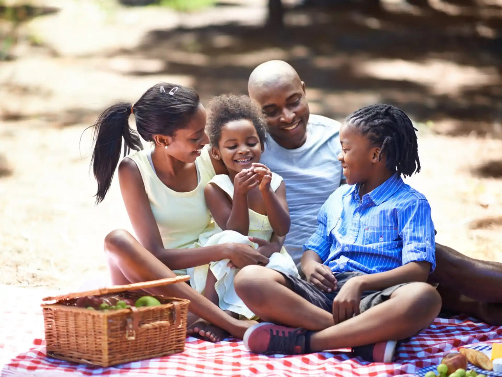 a family sitting on a blanket