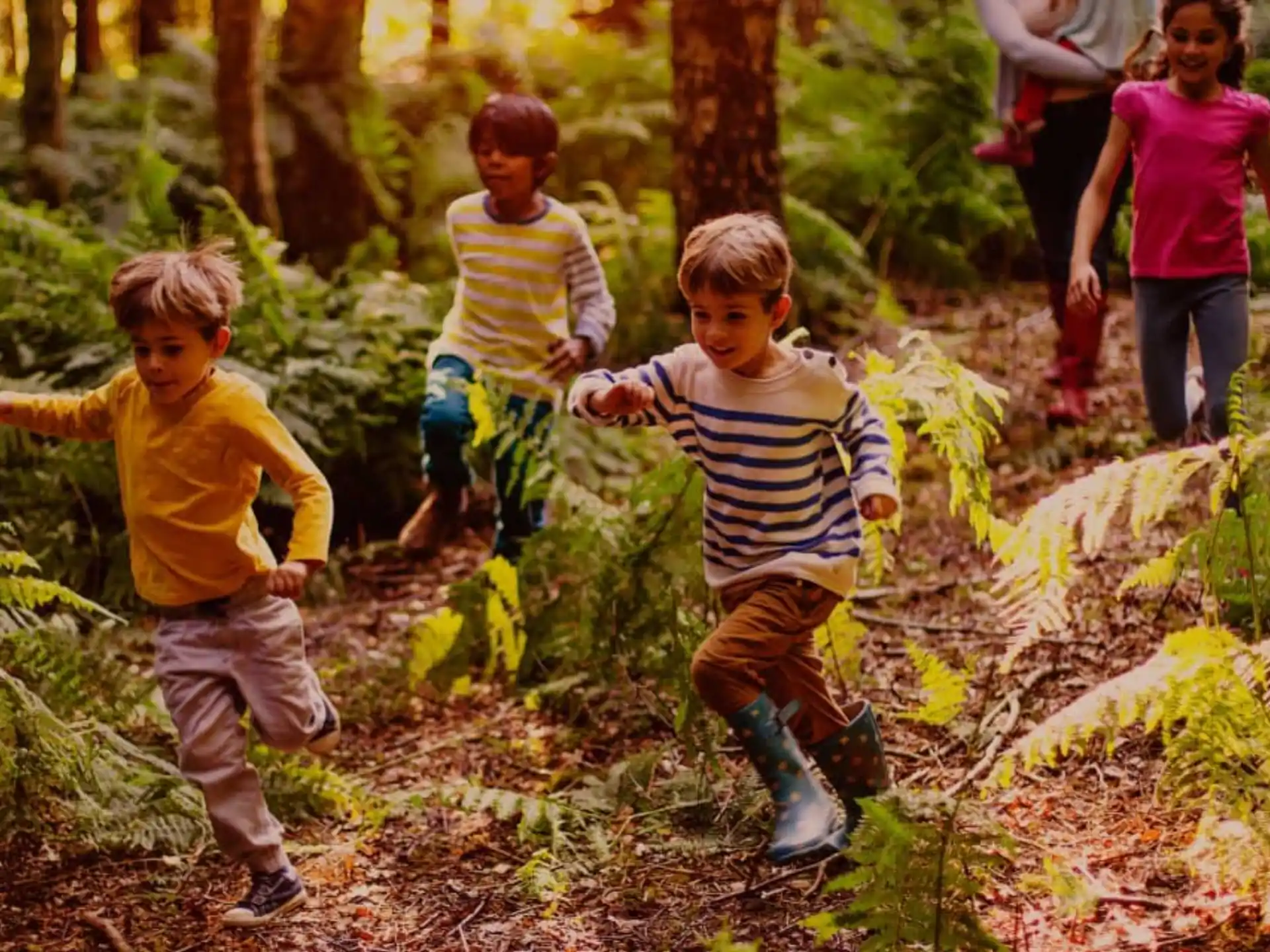 a group of children running in the woods