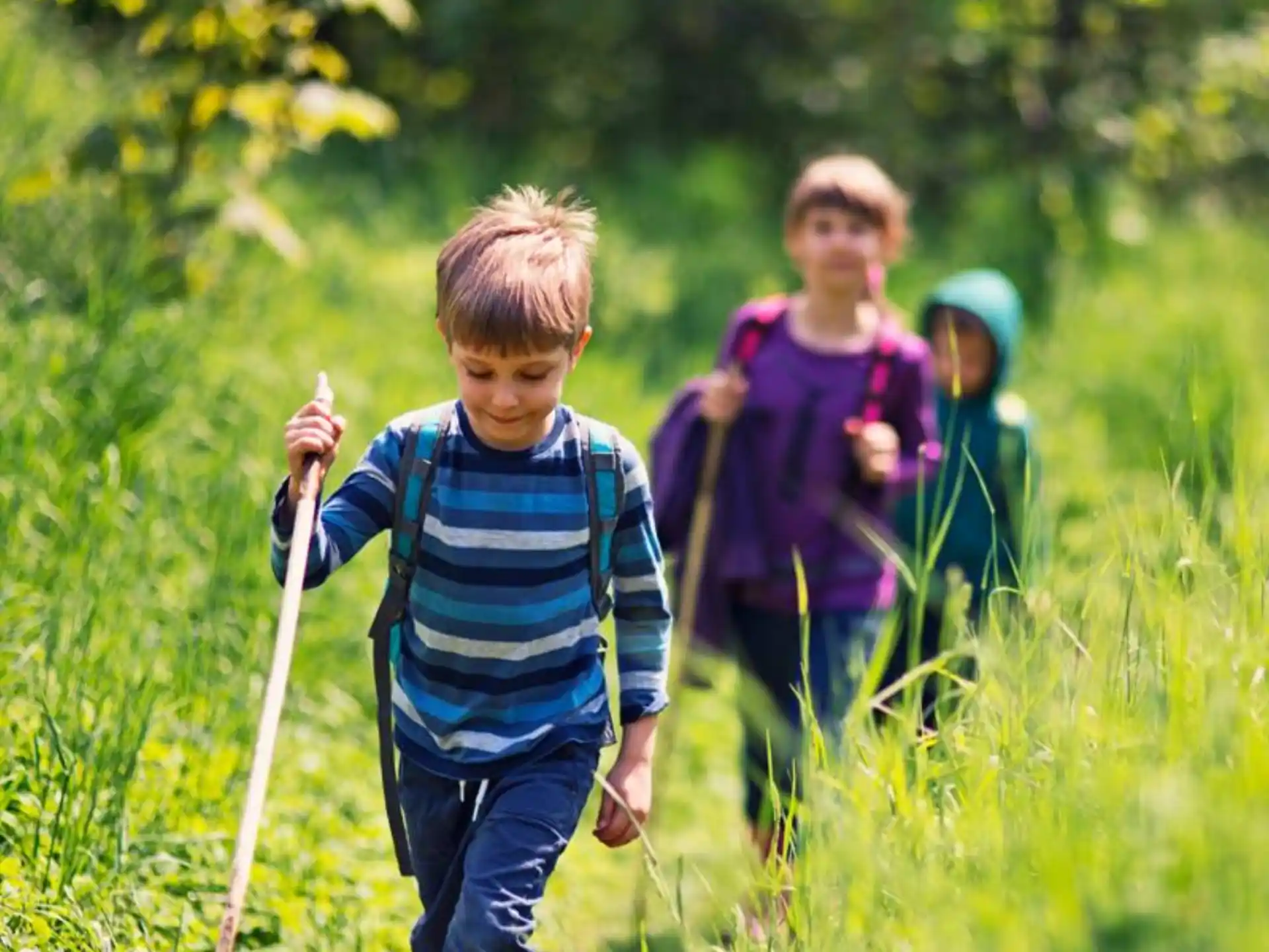 a group of children walking through a grassy area