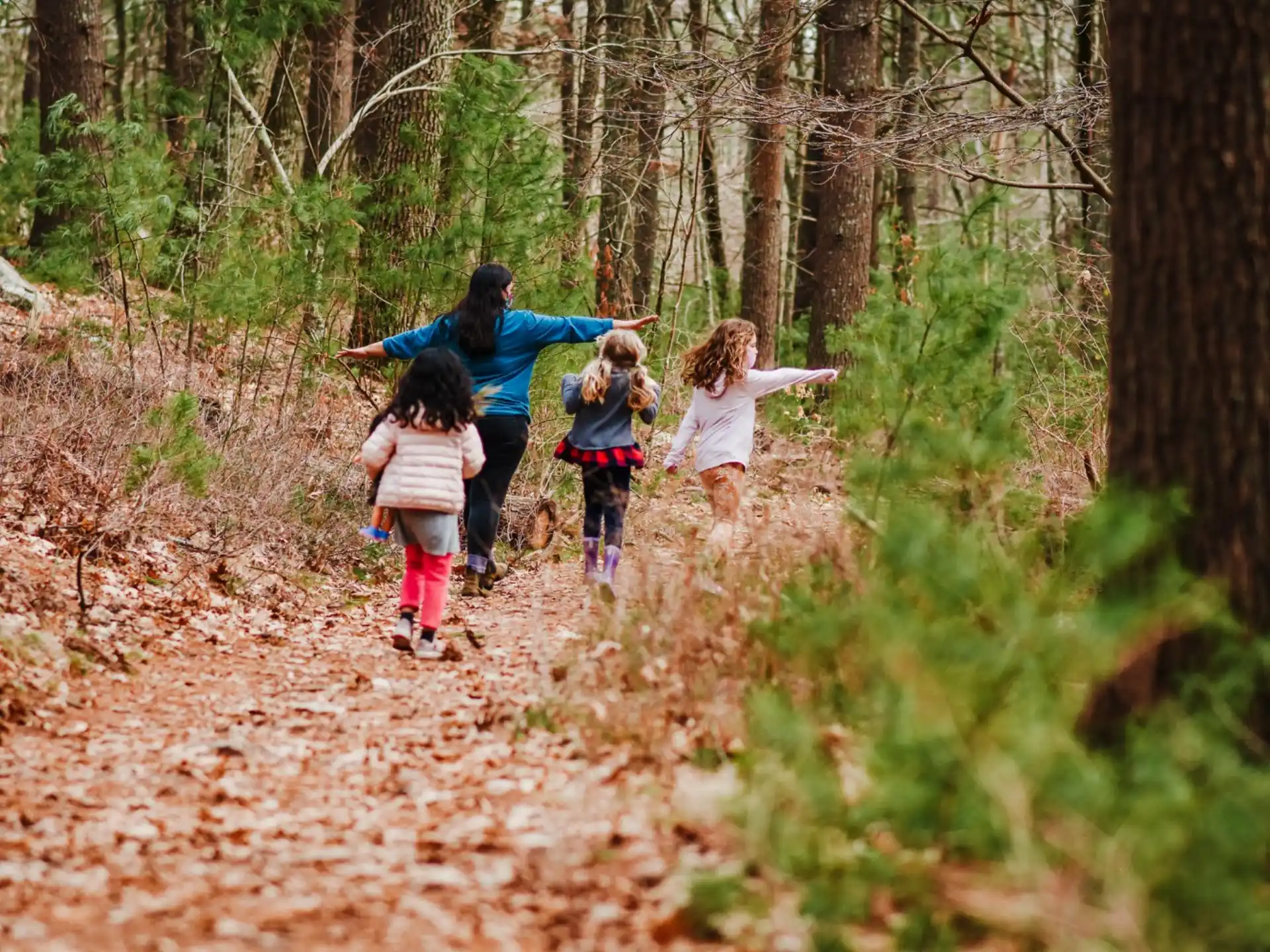 a group of people walking on a trail in the woods
