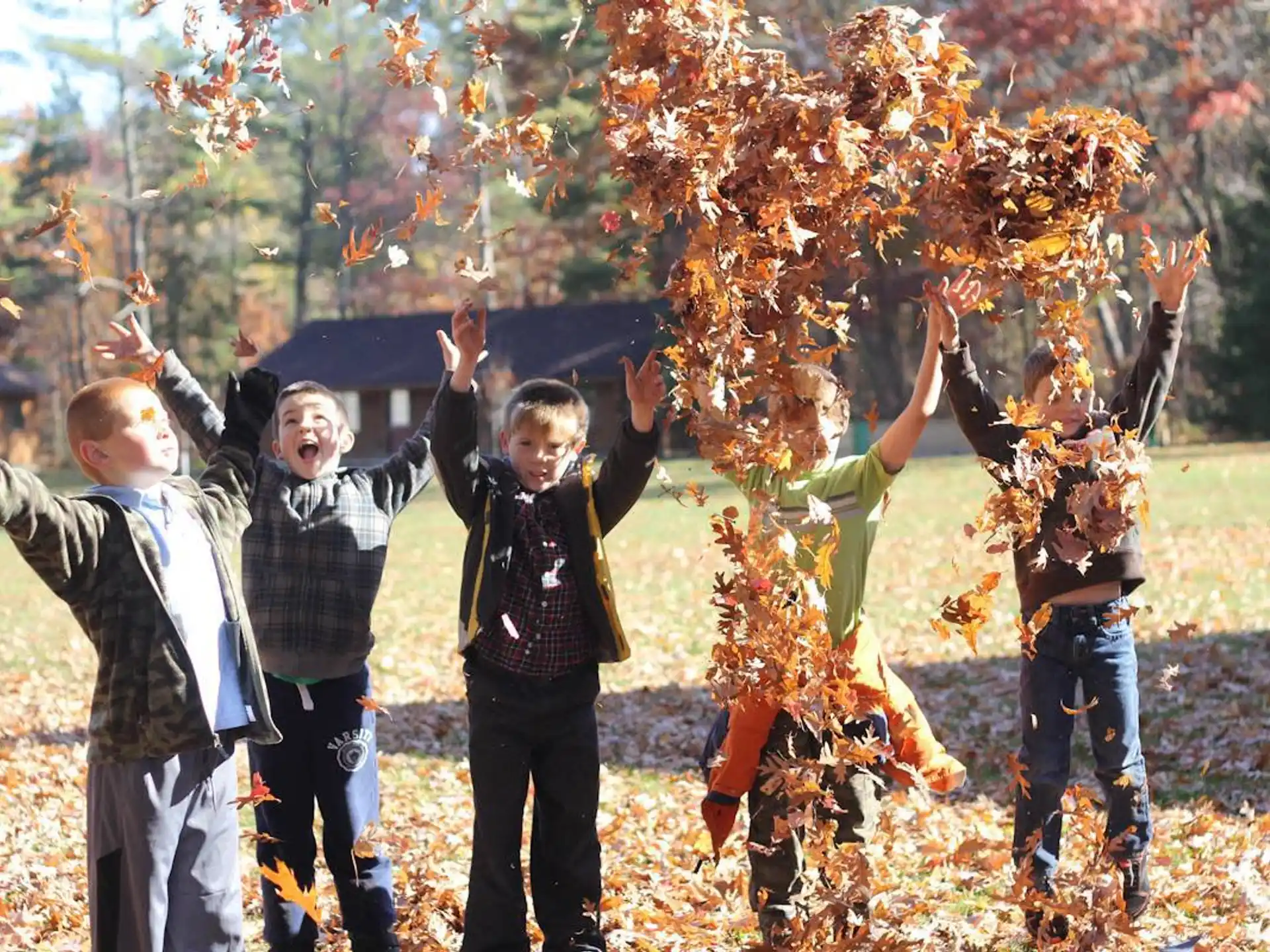 a group of boys holding up a tree with orange leaves
