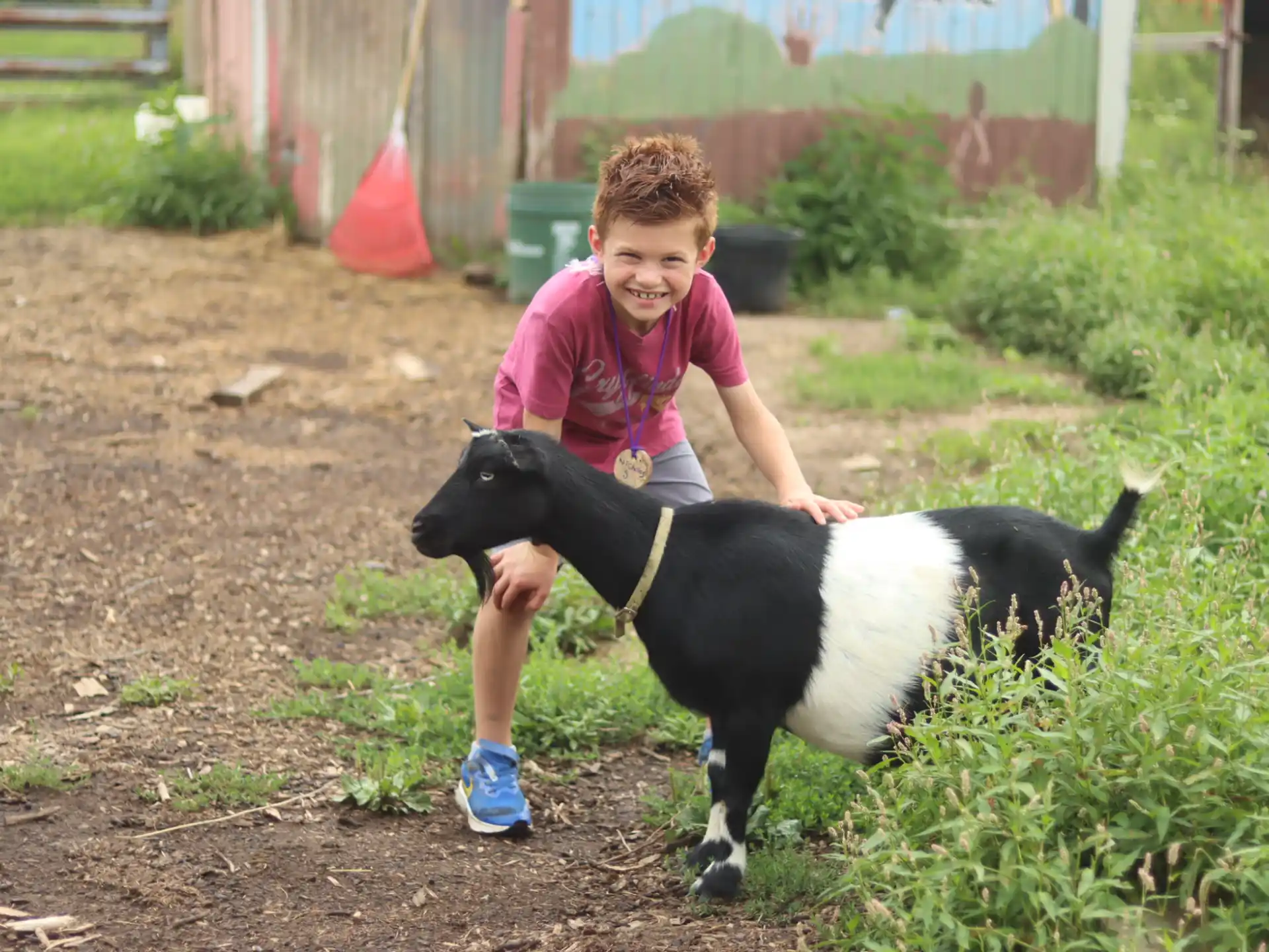 a boy petting a black and white goat