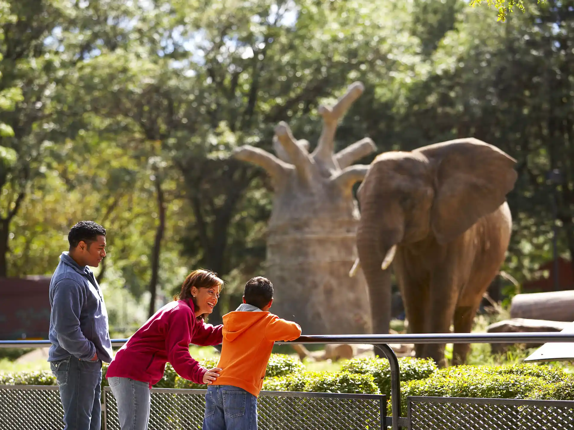 a group of people looking at an elephant statue