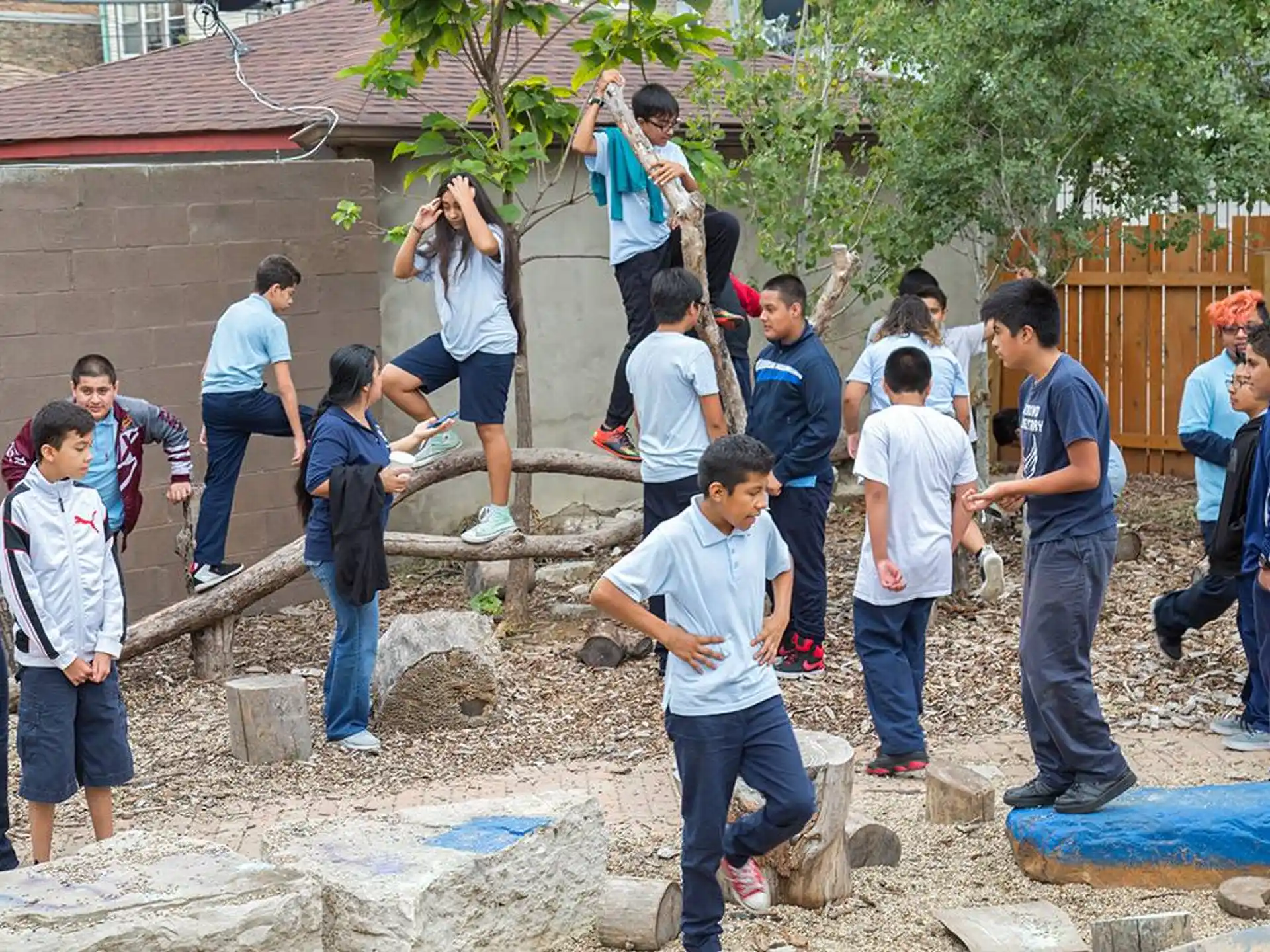 a group of people standing around a tree