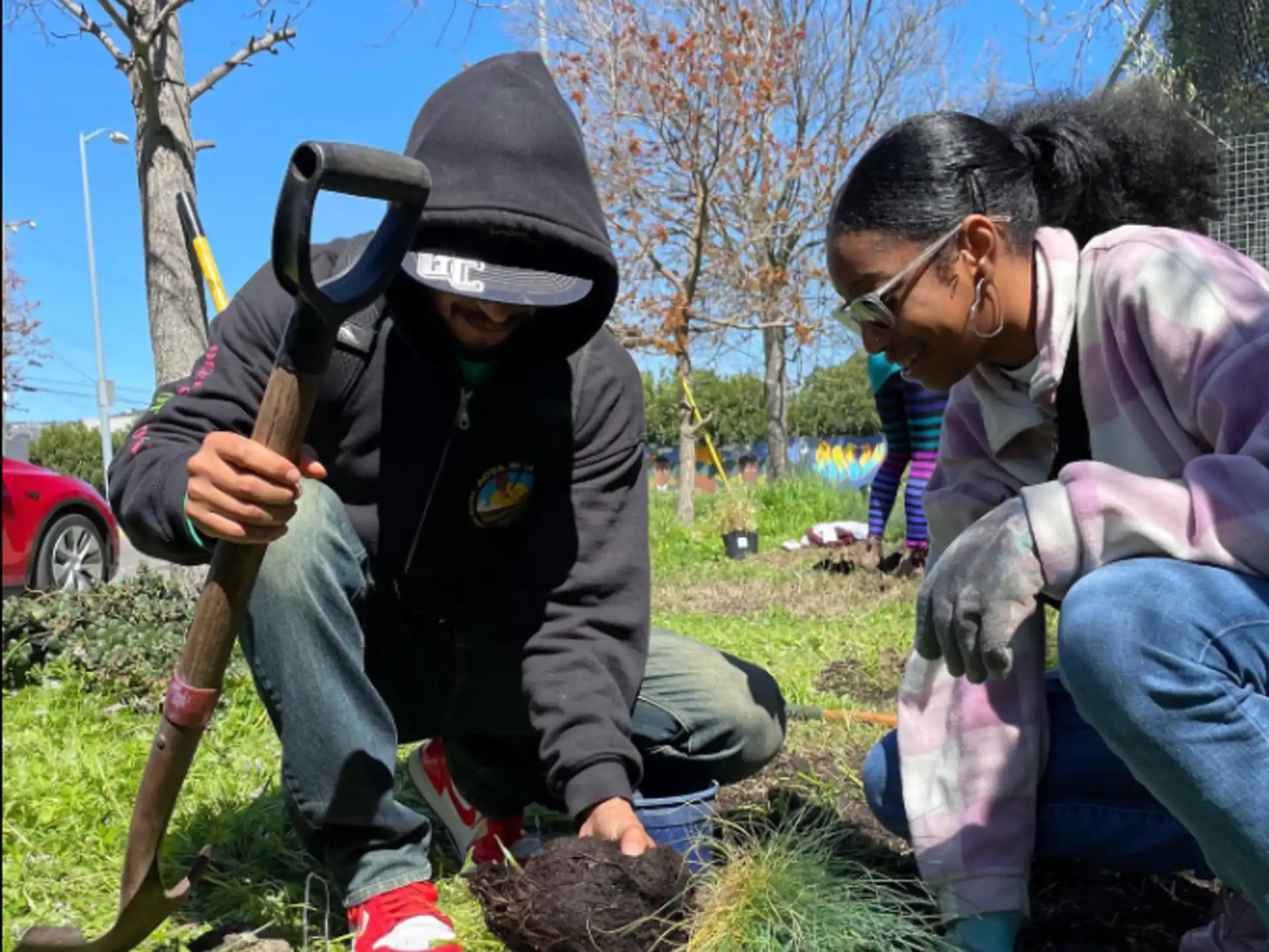 a couple of people planting a tree