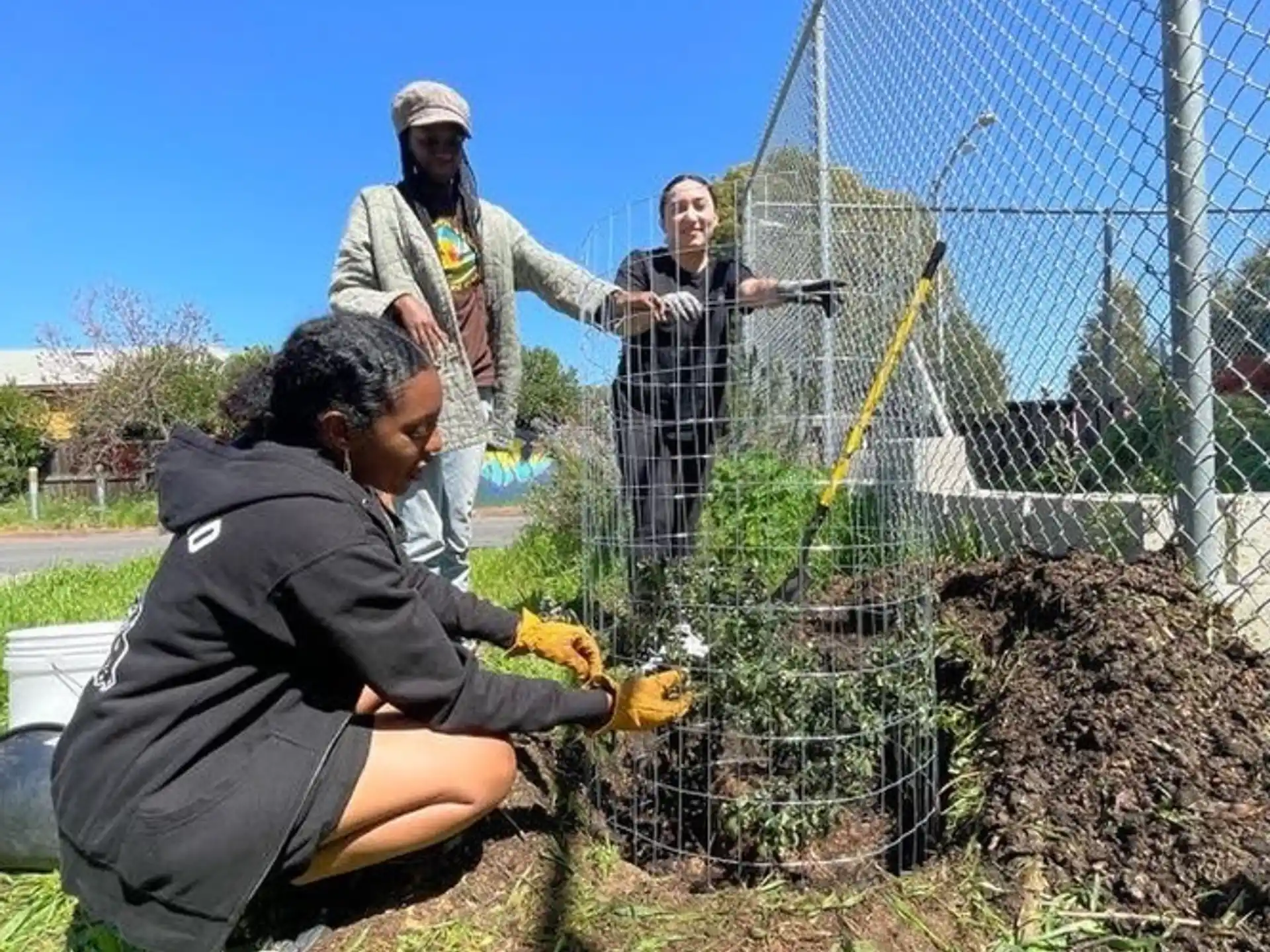 a group of people working in a garden