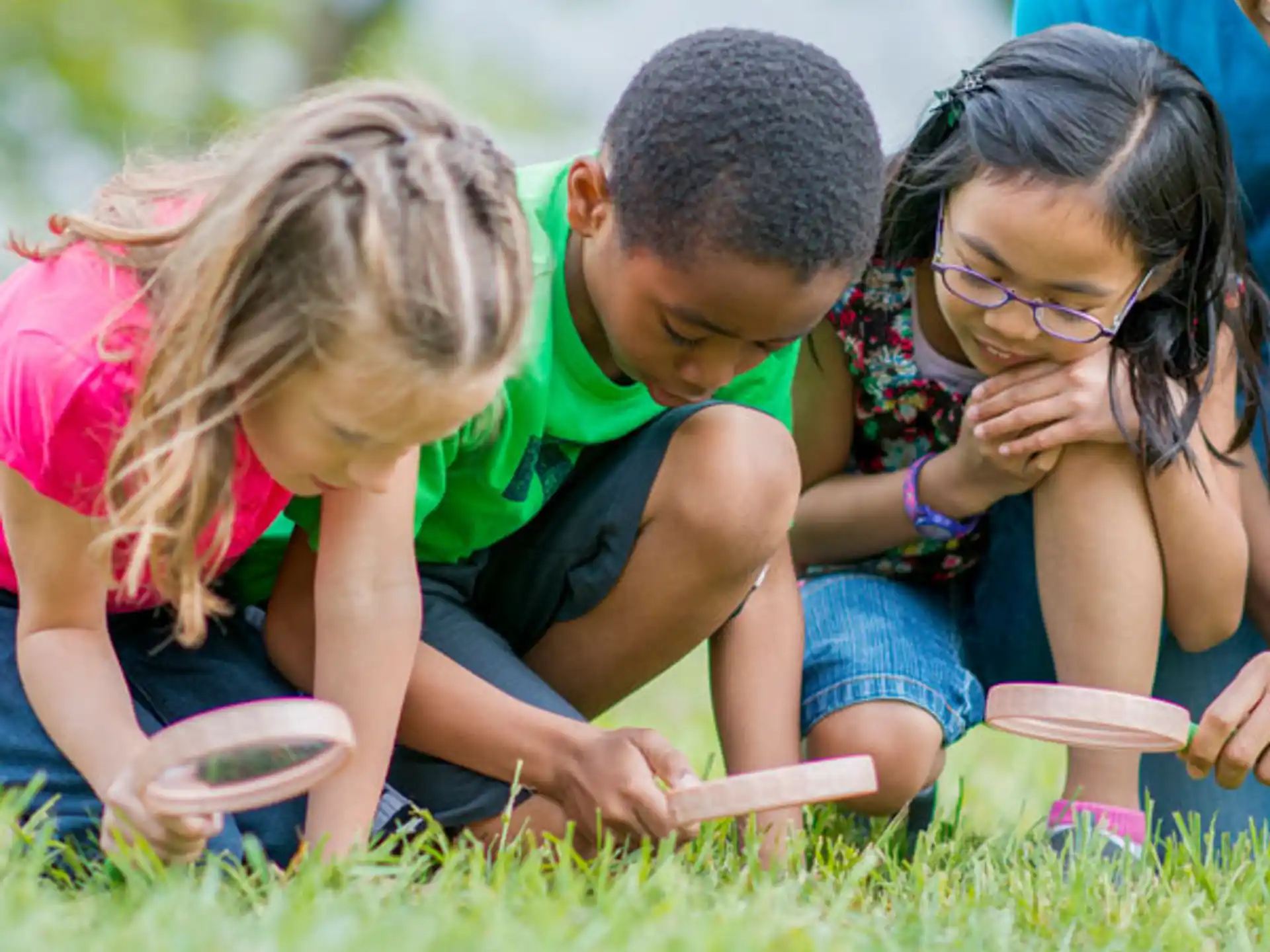 a group of children playing in the grass