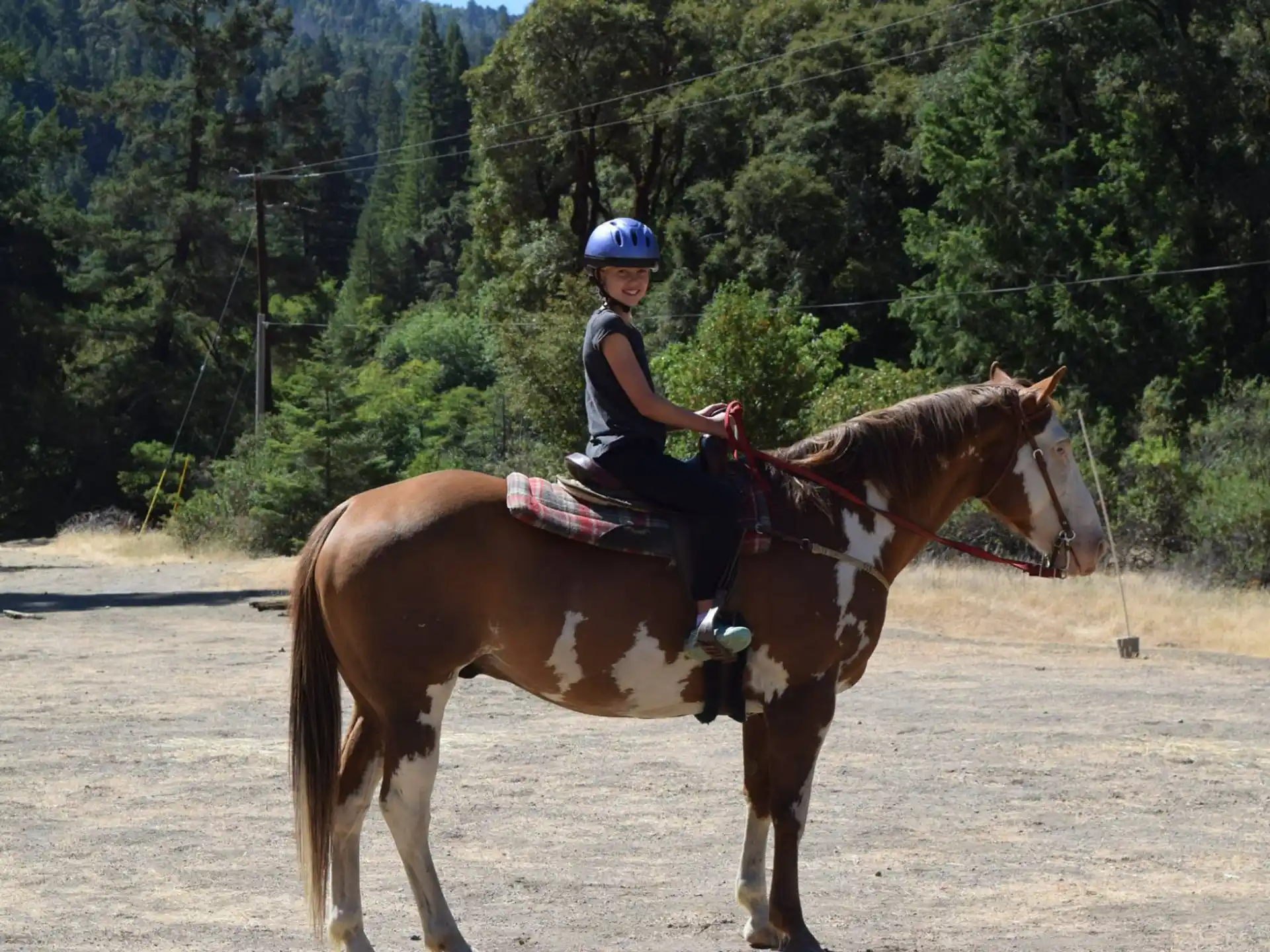 a person riding a horse