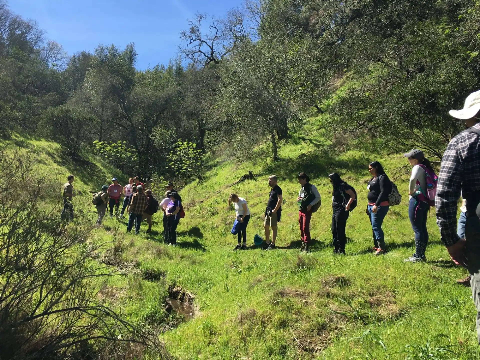 a group of people walking on a trail in the woods
