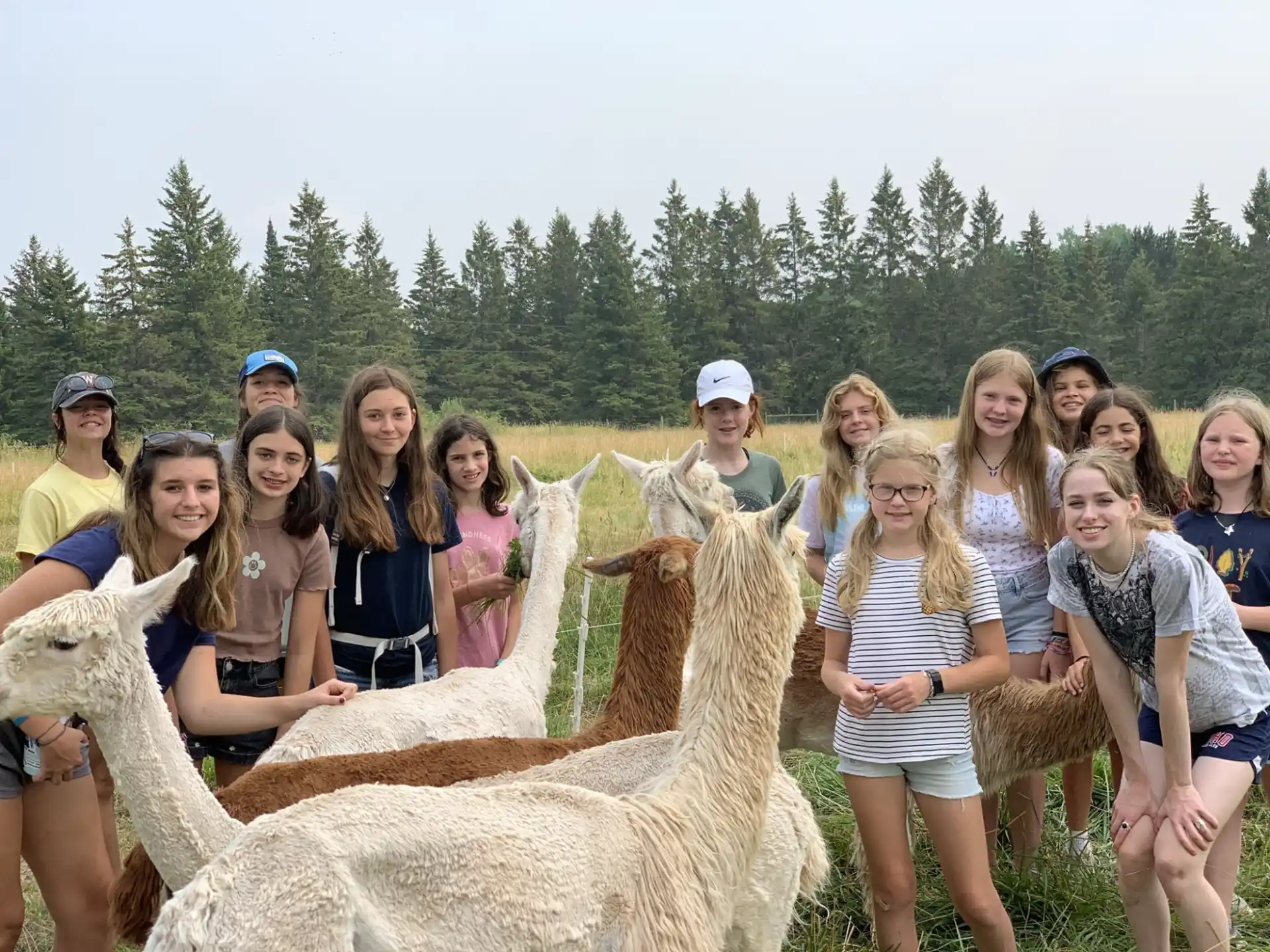 a group of people posing for a photo with a camel