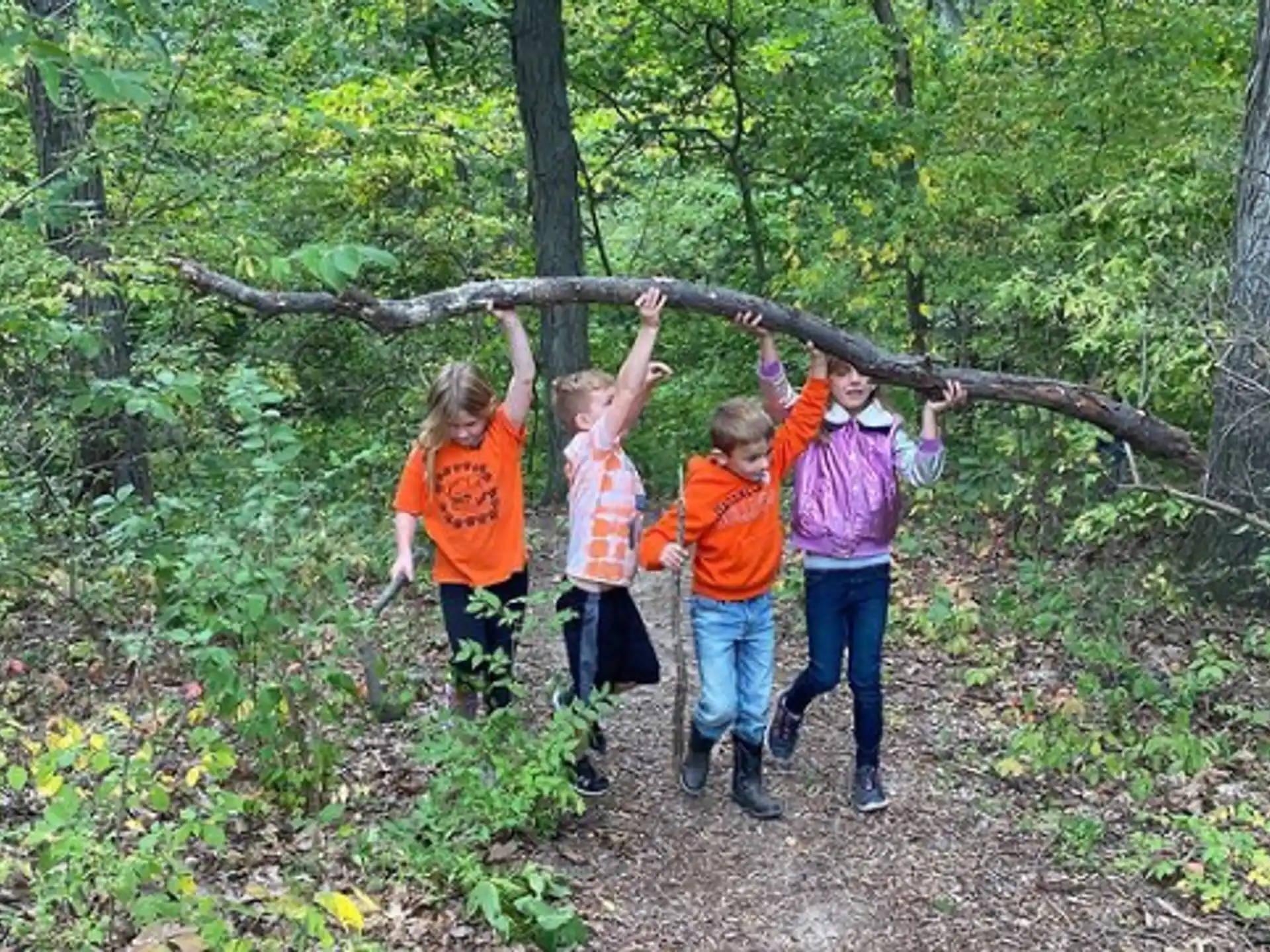 a group of children holding a tree branch in the woods