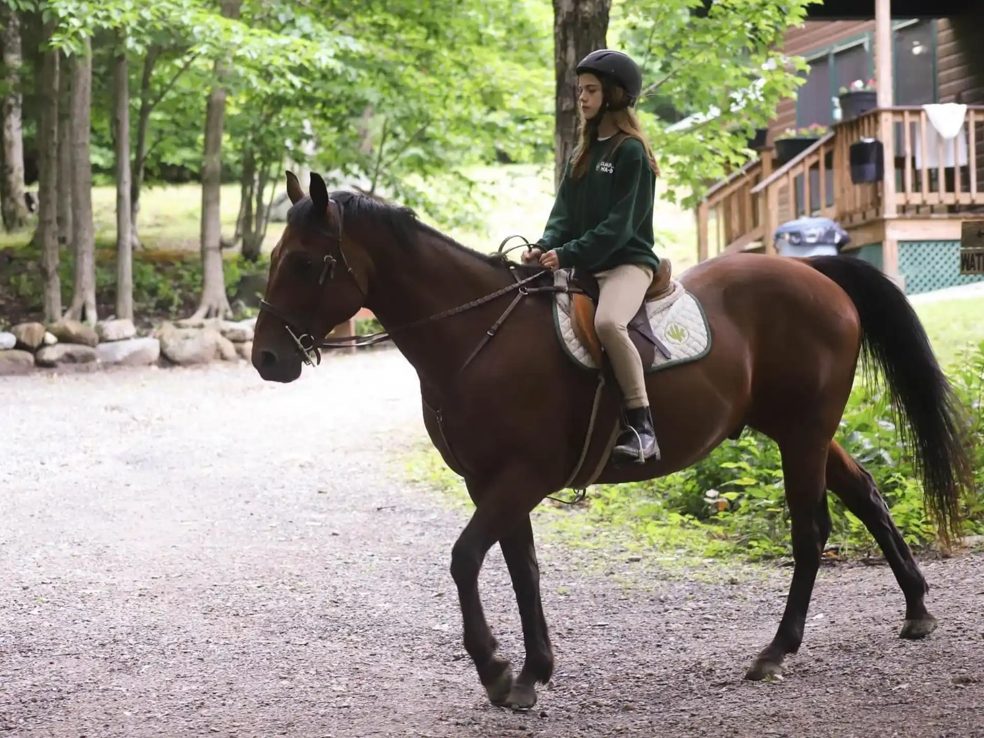 a person riding a horse