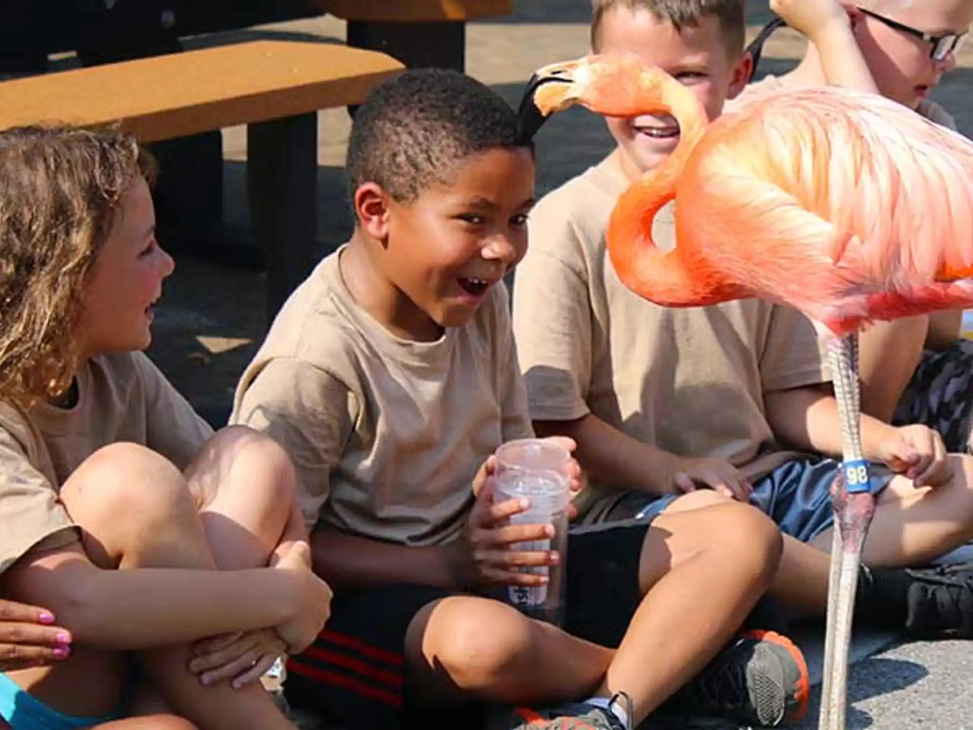 a group of kids playing with a bird