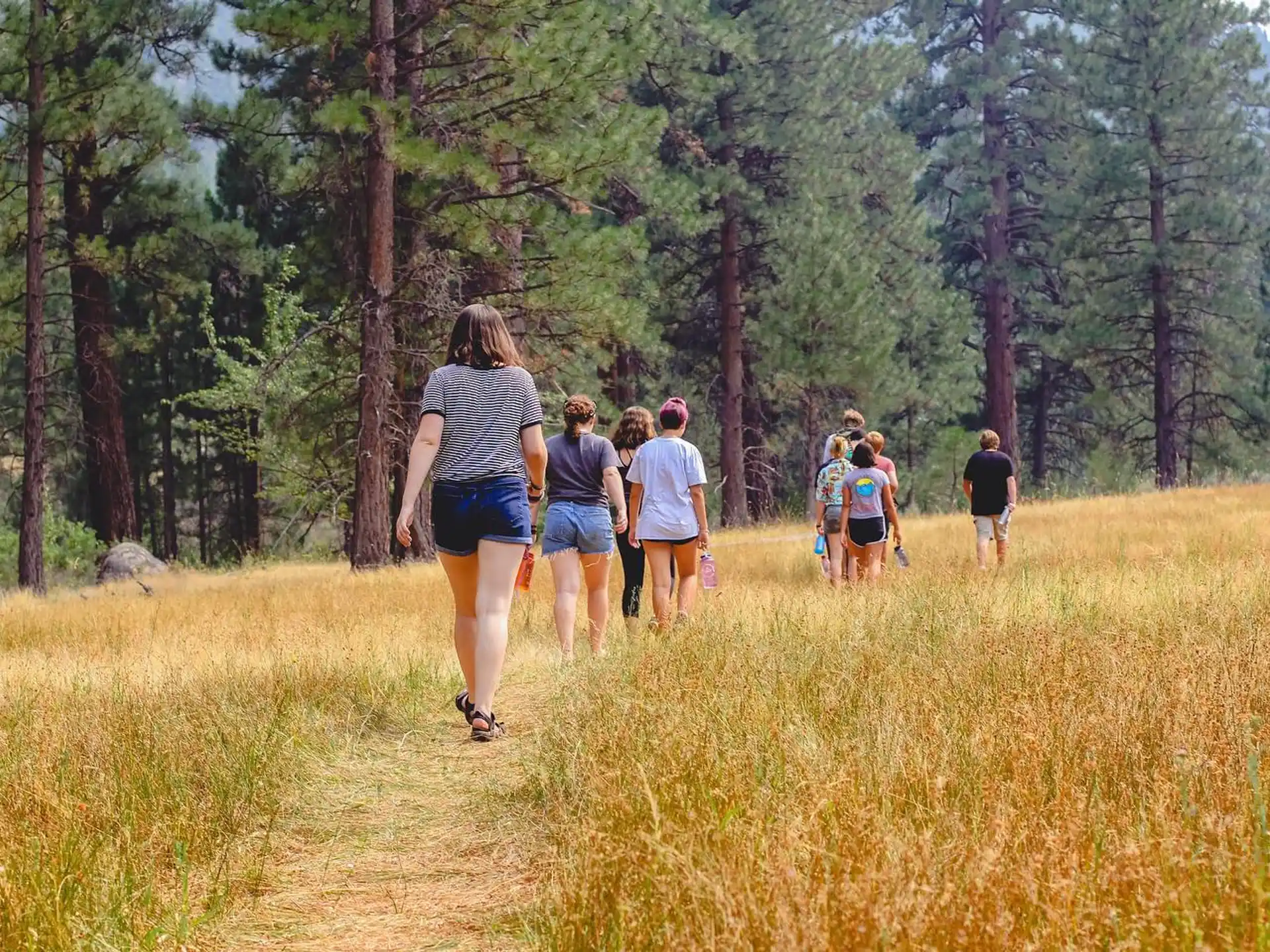 a group of people walking on a trail in the woods