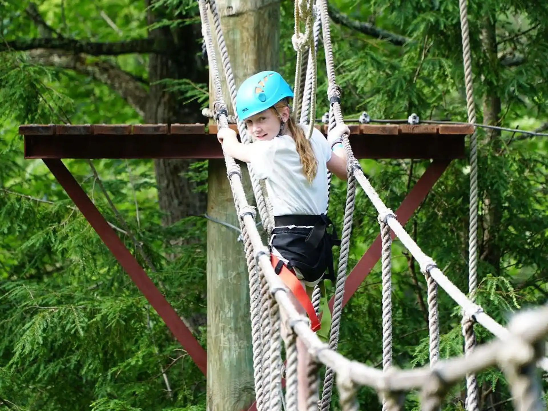 a person wearing a helmet and climbing a tree
