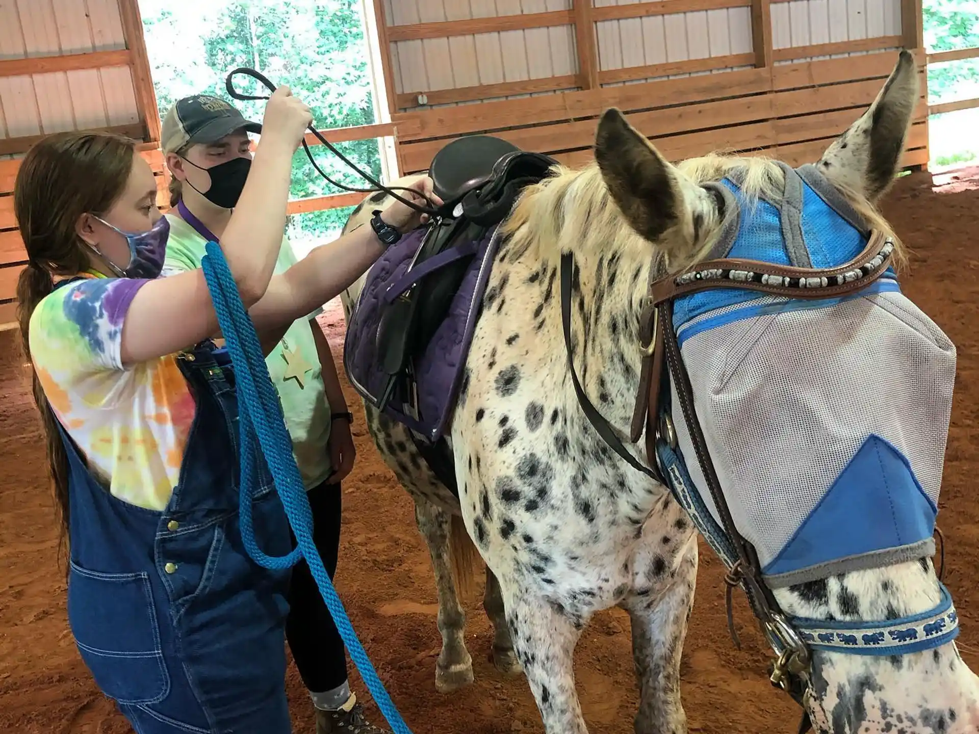 a couple of people petting a donkey