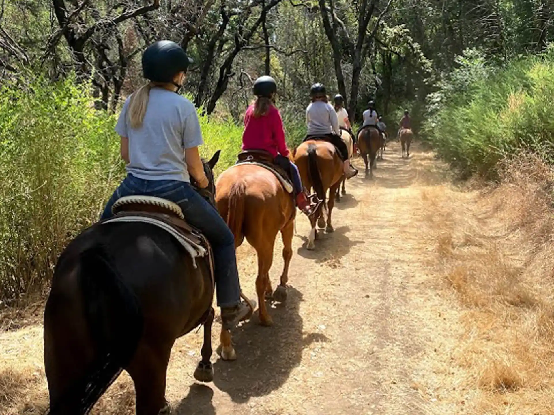 people riding horses on a dirt road