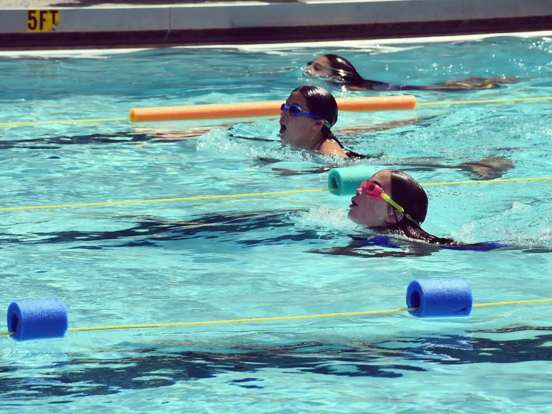 a group of people swimming in a pool