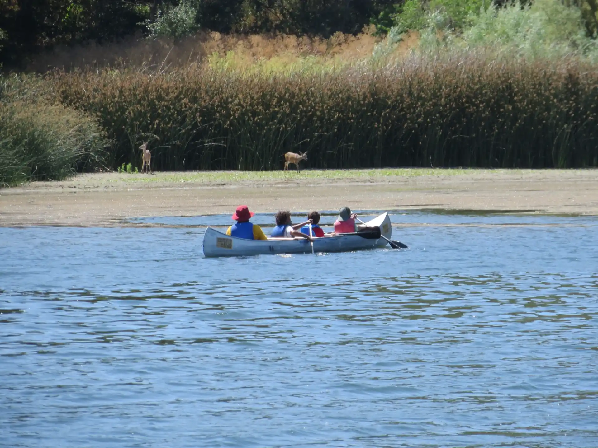 a group of people in a boat