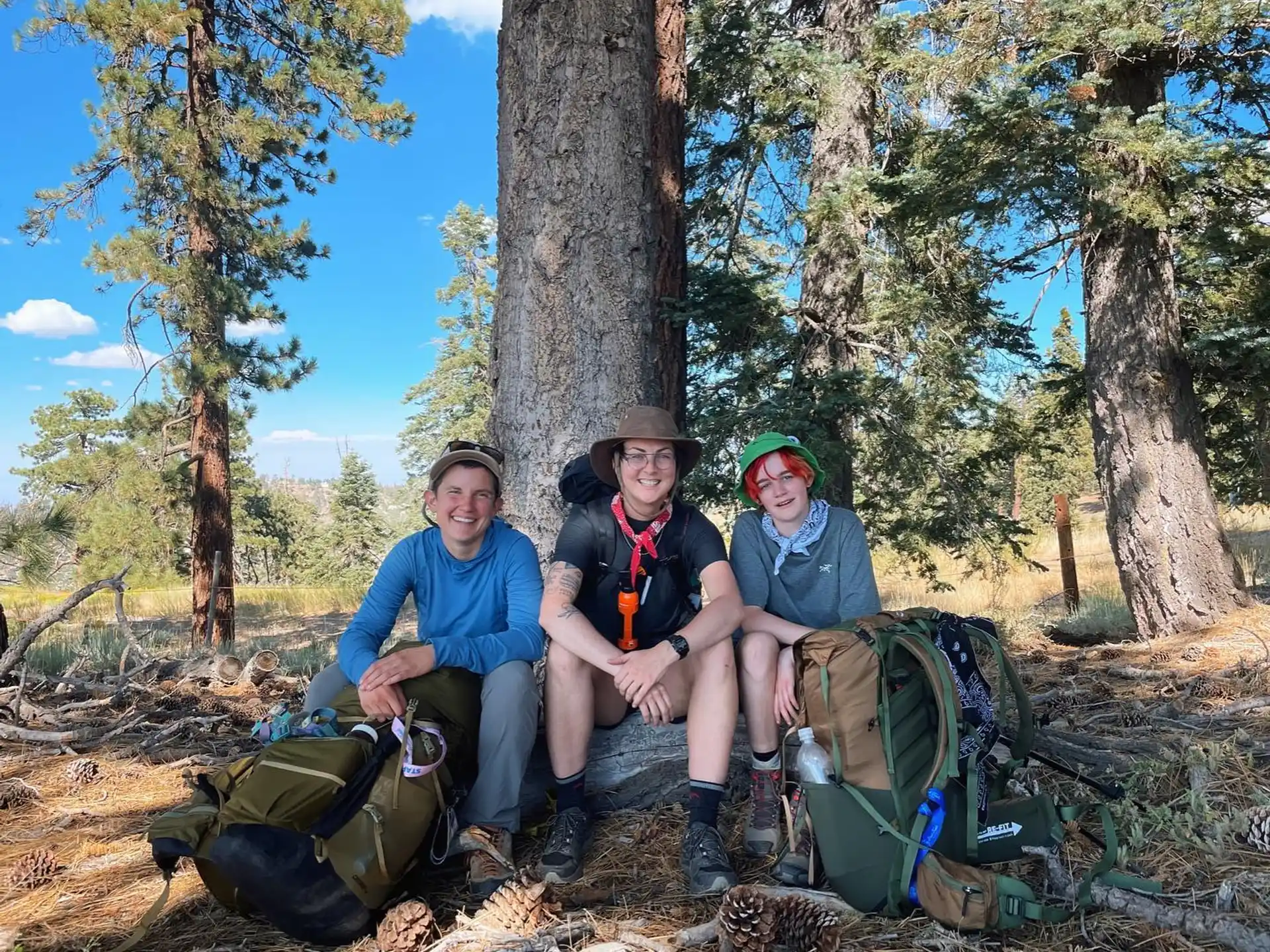 a group of people sitting on a rock in the woods