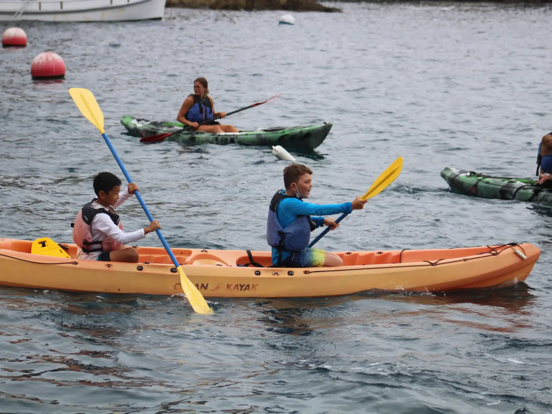 a group of people in kayaks