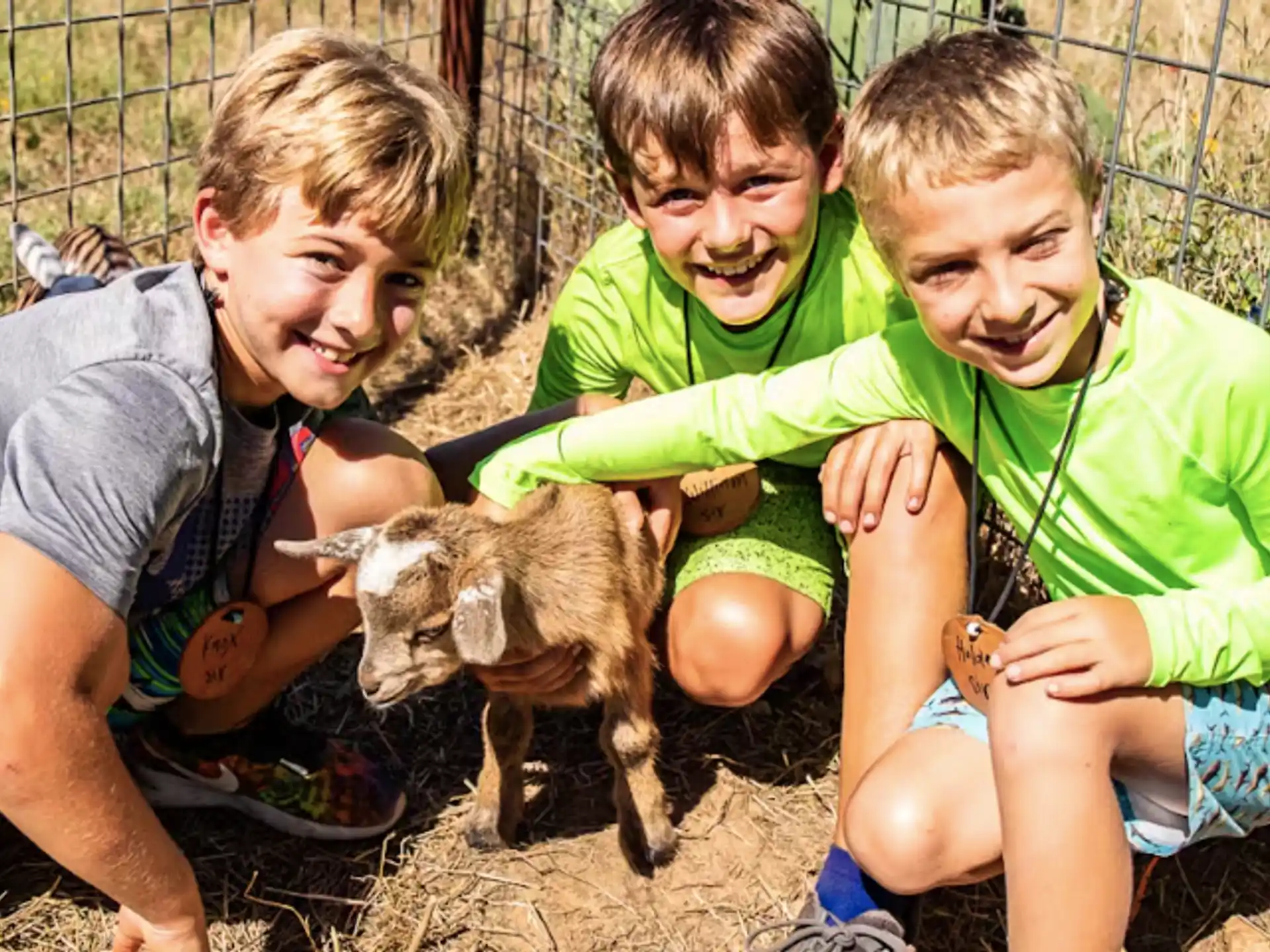 Camp Champions — 933e27b5 9761 4c4d 89cb 754027e09aa1