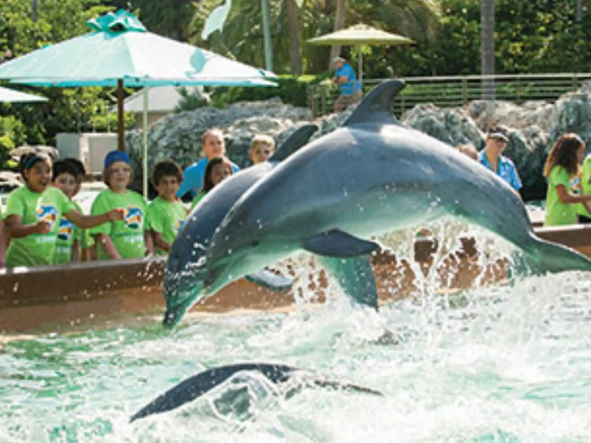 a group of people watching a water slide