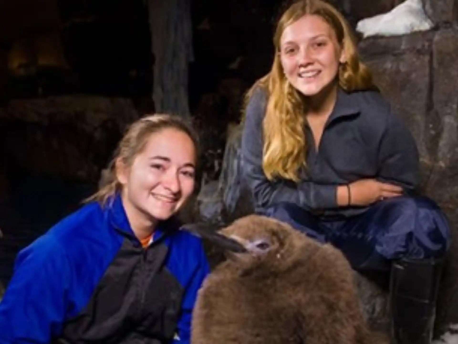 a man and woman sitting next to a seal