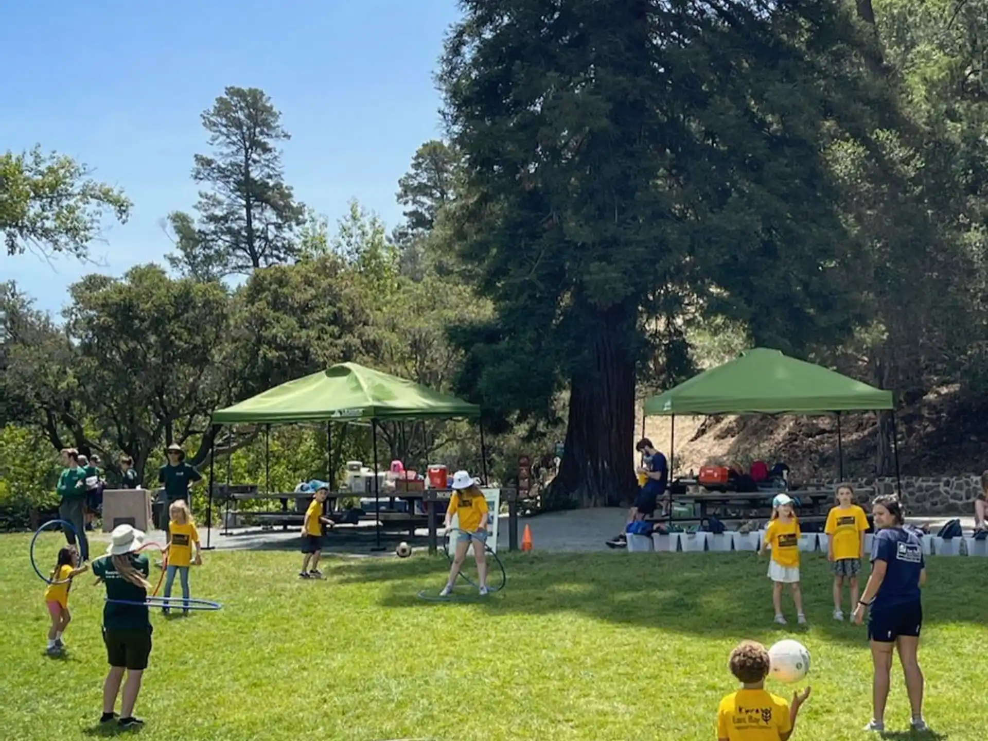 a group of people playing in a field