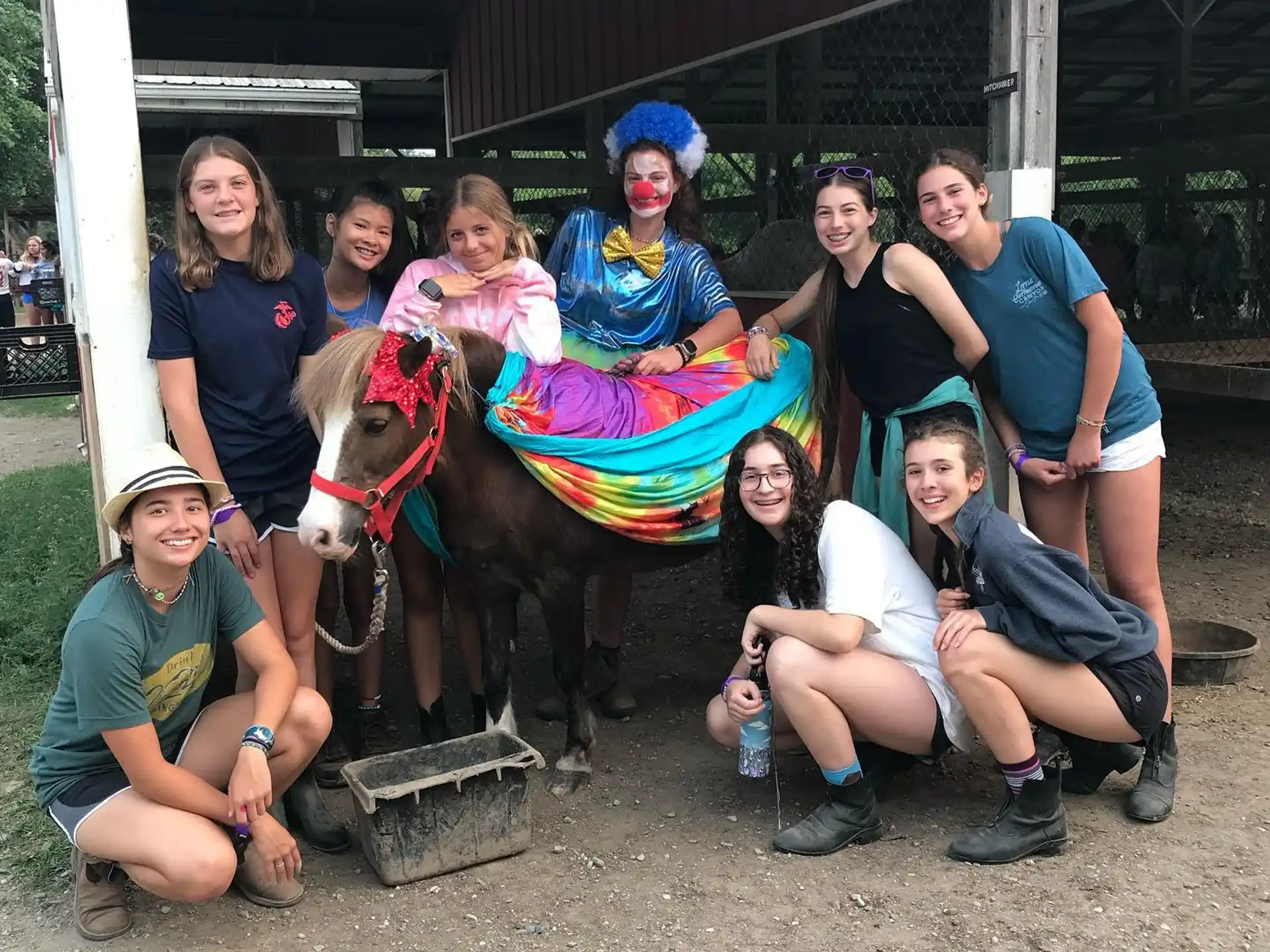 a group of people posing with a camel