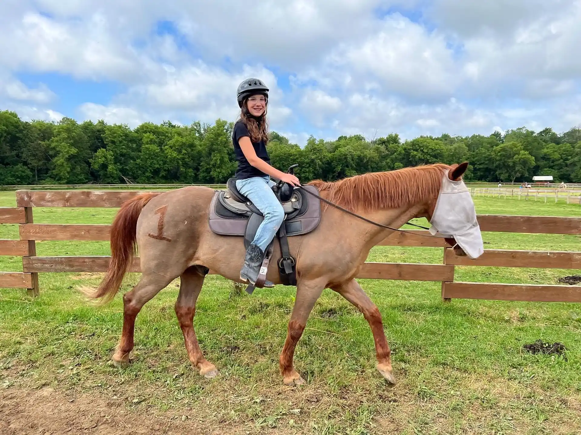a person riding a horse