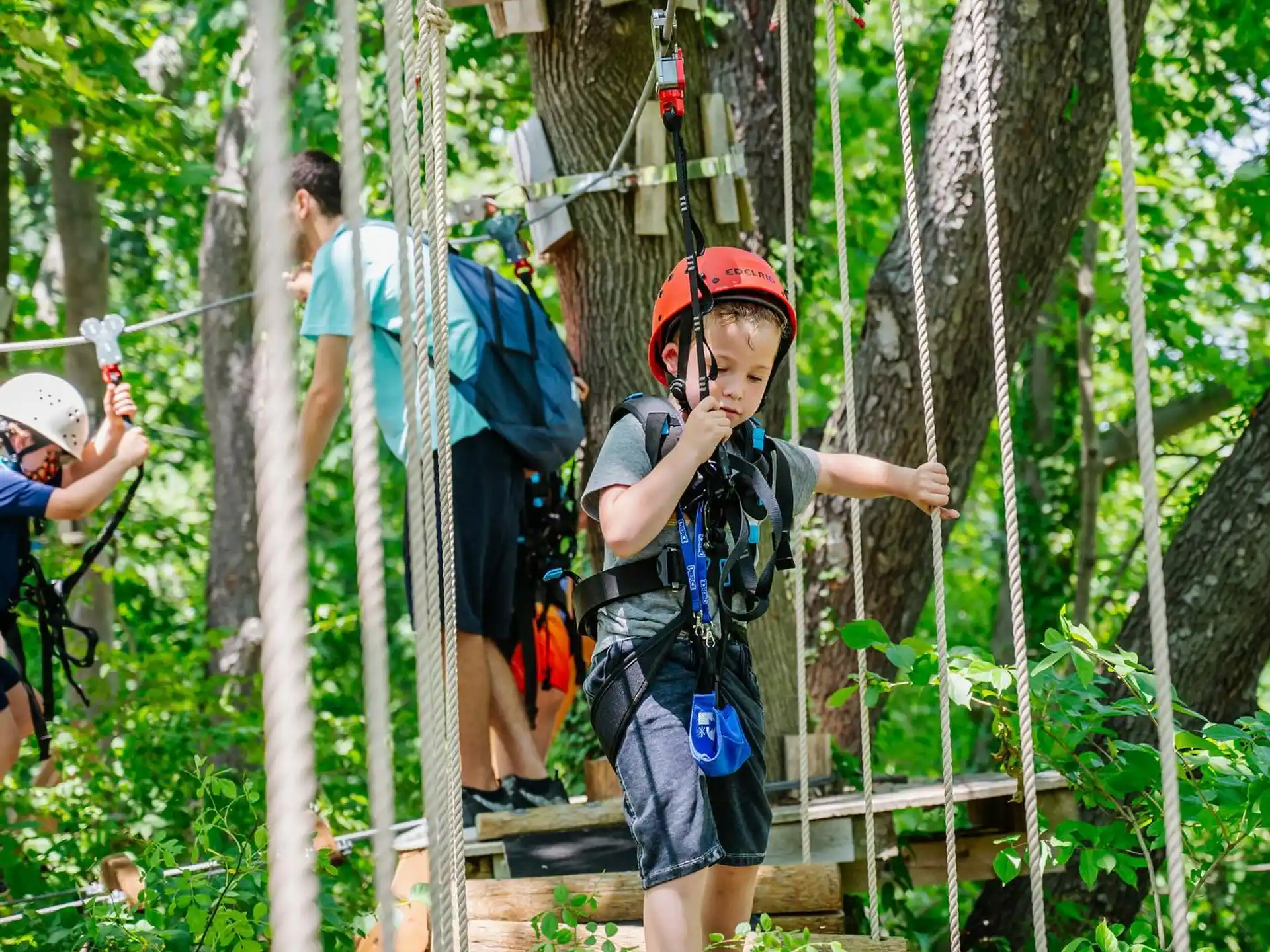a group of people climbing a tree
