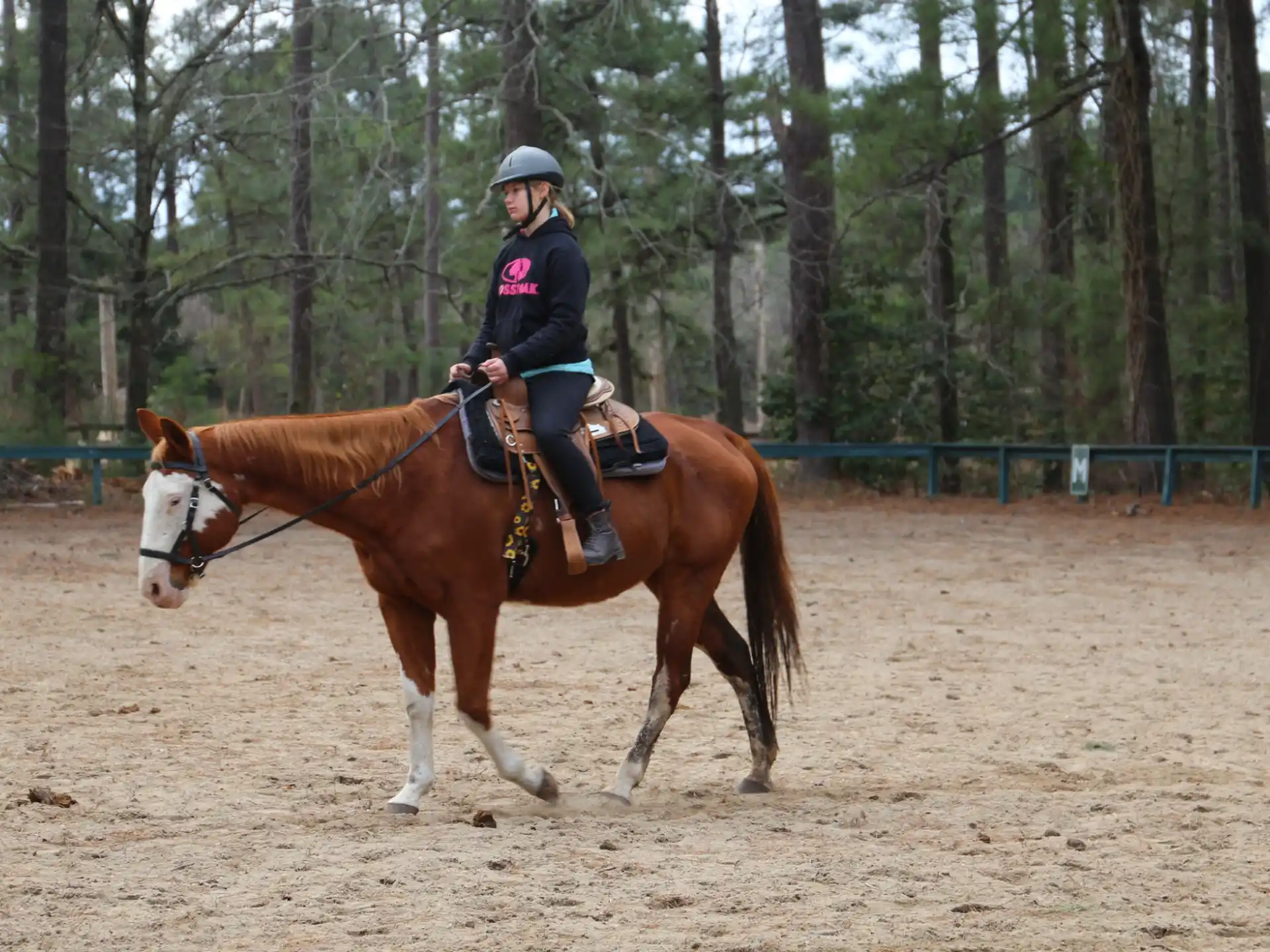 a person riding a horse