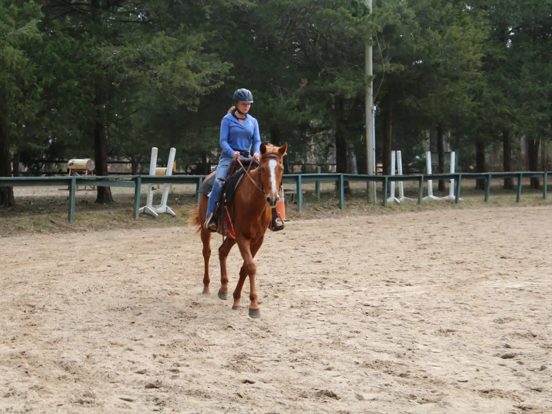a person riding a horse in a dirt arena